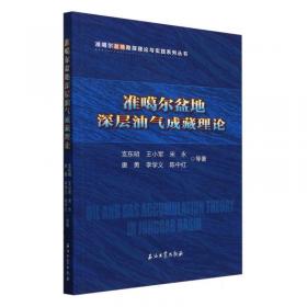 准噶尔盆地玛湖凹陷二叠-三叠系砂砾岩储层微观特征