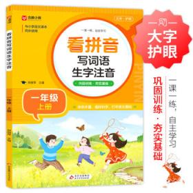 小学数学教学新论