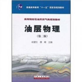 沉积岩石学/普通高等教育“十一五”国家级规划教材·高等院校石油天然气类规划教材