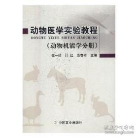 动物小说大王沈石溪·奇幻书系：英雄战象