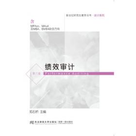 审计理论研究：审计主题视角/经济学研究丛书