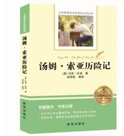 百万英镑:插图全译本 外国现当代文学 (美)马克·吐温著 新华正版