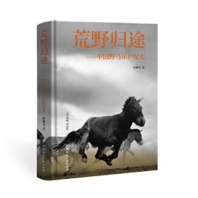这里是新疆·我和野马王子 一本书了解比大熊猫还珍贵的普氏野马，感受野性的力量，科普+真实故事改编 流浪百年的普氏野马，踏上回家之路