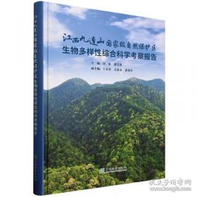 江西当代影视文学总论
