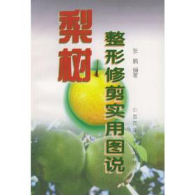梨树栽培与病虫害防治 