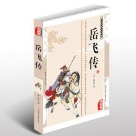 岳飞十八谈 中国历史  新华正版