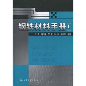 炼铁过程节能减排先进技术/钢铁工业绿色制造节能减排先进技术丛书