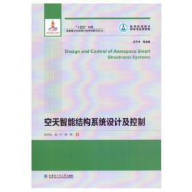 空天技术前沿研究丛书：超声速气流中的火焰稳定与传播