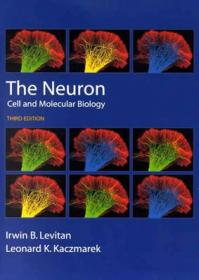 神经元：细胞和分子生物学
