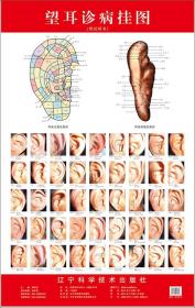 舌诊辨证图谱（第2版）