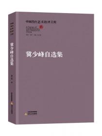 中国当代艺术批评文库：李晓峰自选集