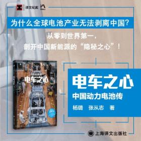 电车之心 中国动力电池传