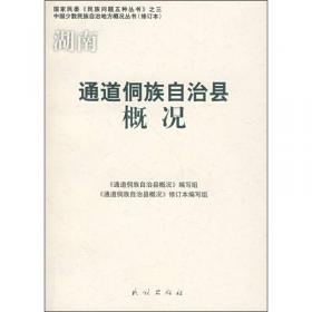 通道侗语研究:功能视野下的语音、句法和语篇研究