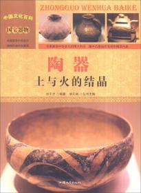 中国文化百科 国宝器物 珐琅：工艺美术奇葩（彩图版）