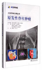骨科手术技巧丛书·脊柱外科手术操作与技巧