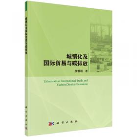 中国燃煤电厂CCUS项目投资决策与发展潜力研究