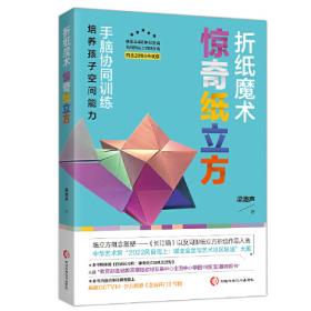折纸大全：欧洲折纸协会推荐的最佳折纸用书