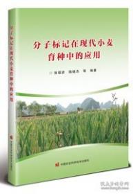 分子有序体系超薄膜及其在摩擦学中的应用