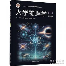 大学物理学(下) 第2版