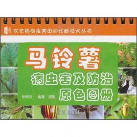中国枣树病虫草害及其防控原色图谱
