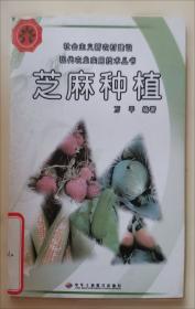 止学 [隋]文中子