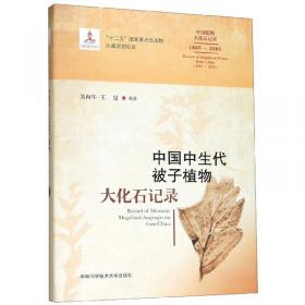 中国中生代植物大化石属名索引(1865-2005汉英对照)(精)/中国植物大化石记录