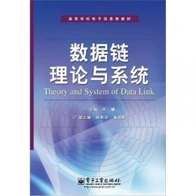 数据链理论与系统（第2版）