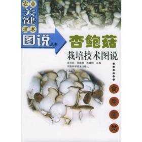 杏鲍菇高效栽培技术——新世纪富民工程丛书·食用菌类栽培书系