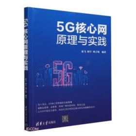 5G无线网络优化技术原理与工程实践