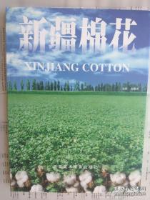 新疆维吾尔自治区建筑安装工程费用定额:2010