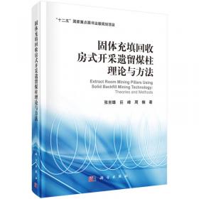 国家安全战略研究丛书：中国城市安全评论（第一卷）