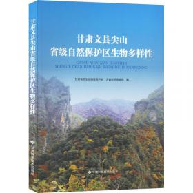 未来的甘肃:甘肃省国土综合开发规划研究