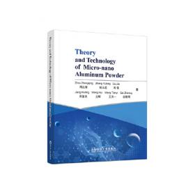 The Aviator'S Wife: A Novel[飞行员的妻子]