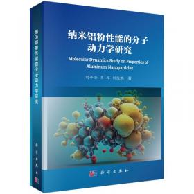 纳米数字集成电路的偏差效应分析与优化：从电路级到系统级