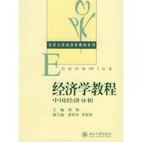 经济学教程：中国经济分析（第2版）