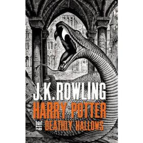Harry Potter and the Chamber of Secrets 哈利波特与密室（英国成人版，精装） 