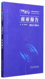 南亚报告（2012-2013）