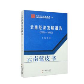 云南蓝皮书：云南文化发展蓝皮书2007-2008