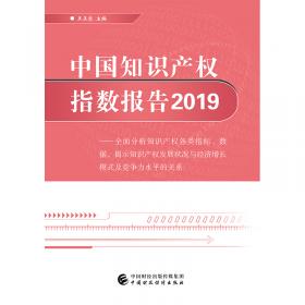 中国知识产权指数报告2014