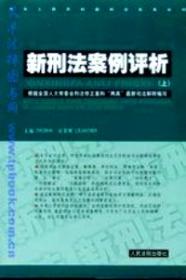 新刑法罪名量刑与案例通览