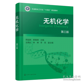 无机化工废渣污染特征与污染风险控制/固体废物处理与资源化技术进展丛书