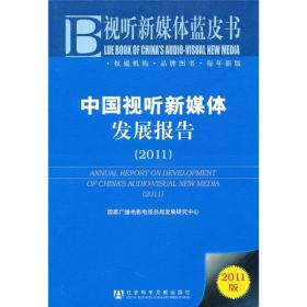 中国视听新媒体发展报告（2013）