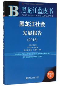 黑龙江经济发展报告（2016）