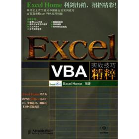 Excel 2013实战技巧精粹