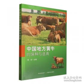 中国人民代表大会制度