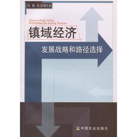 镇域经济规划理论与方法:云南富村规划实践
