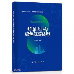 炼油装置技术改造及优化案例丛书：延迟焦化装置技术改造及优化案例