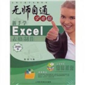 实用技巧快学速查手册：Excel办公高手应用技巧500例（2010版）