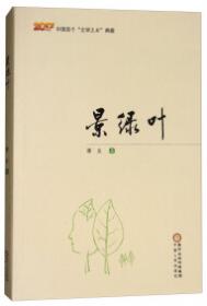 悲悯（2017）/中国首个“文学之乡”典藏