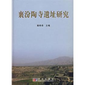 襄汾陶寺：1978——1985年考古发掘报告